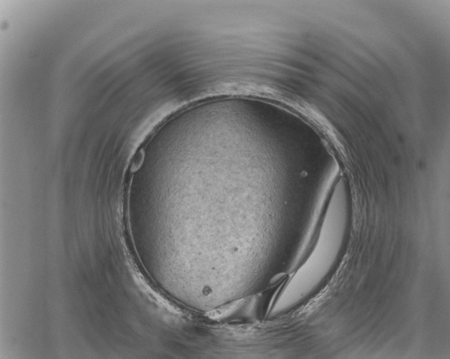 X0000067510896200604101253