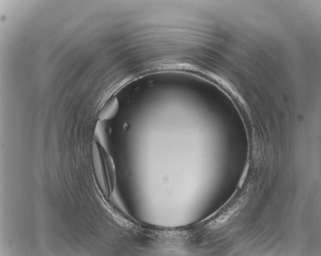 X0000067510897200604101253