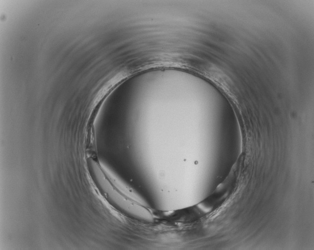 X0000067510898200604101252