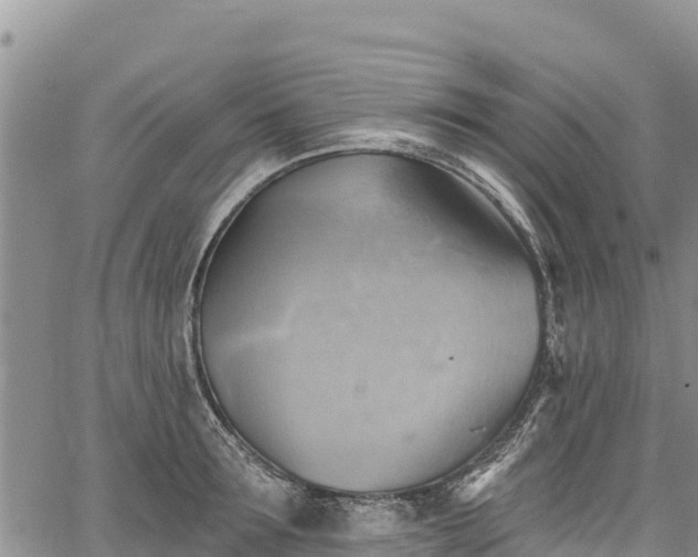 X0000067510899200604101252