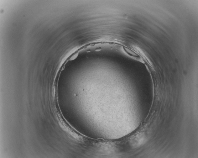 X0000067510900200604101252