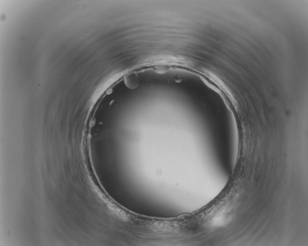 X0000067510901200604101252