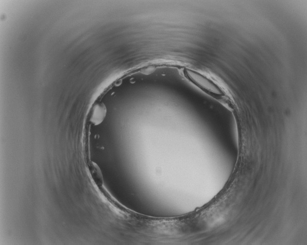 X0000067510902200604101252