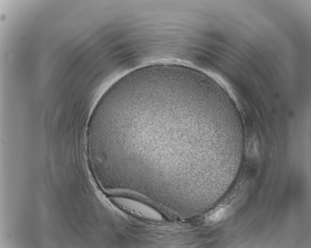 X0000067510903200604101252