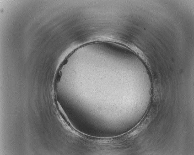 X0000067510904200604101252