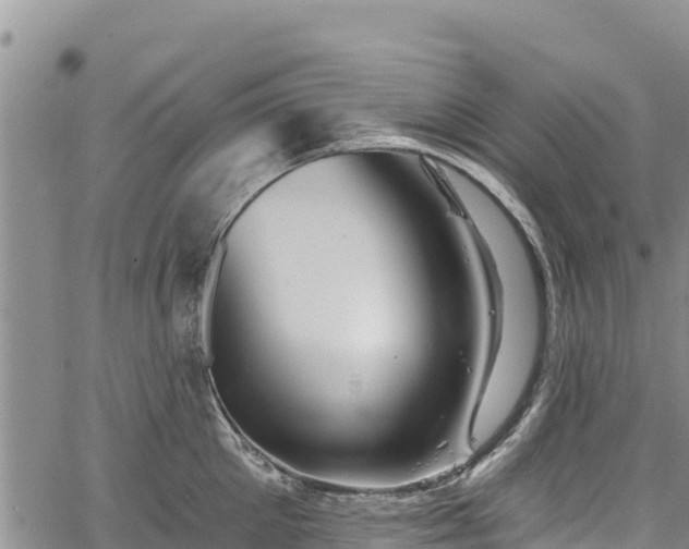 X0000067510905200604101252