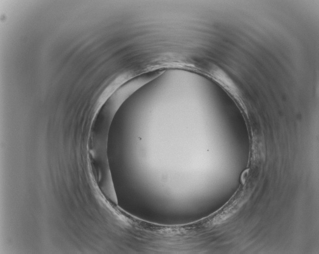 X0000067510906200604101252