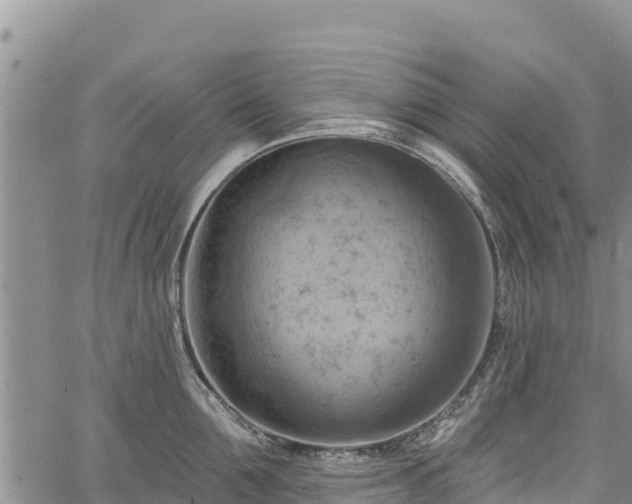 X0000067510907200604101252