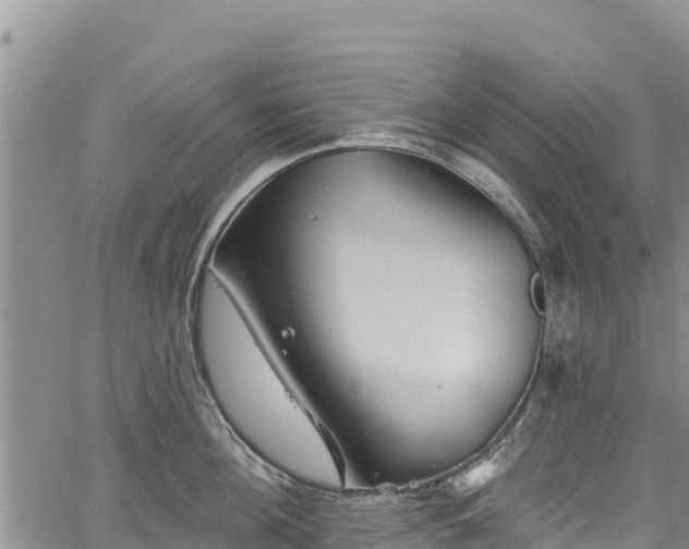 X0000067510908200604101252