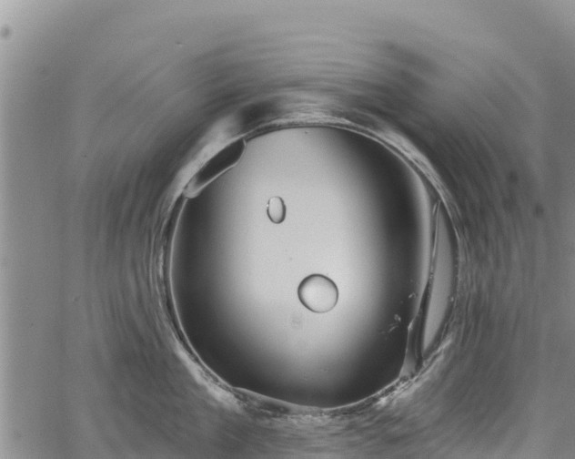 X0000067510909200604101252