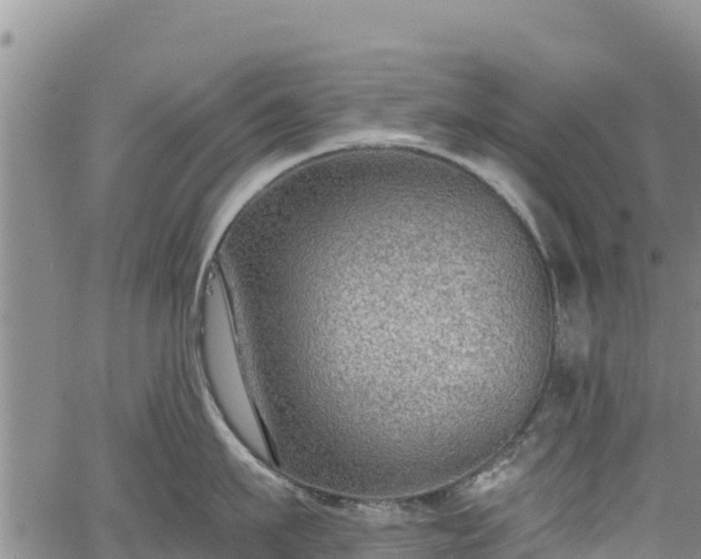 X0000067510911200604101252