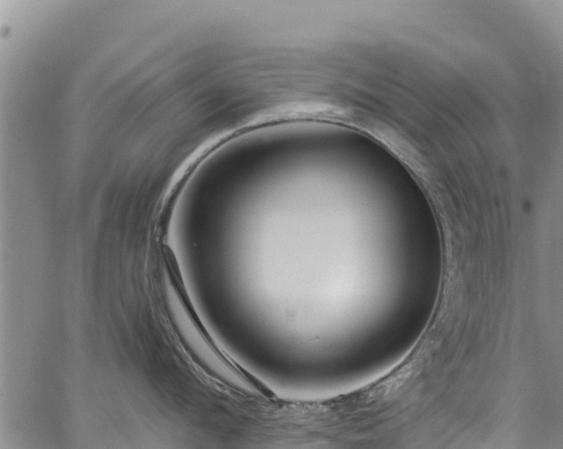 X0000067510912200604101252