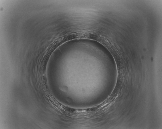 X0000067510913200604101251