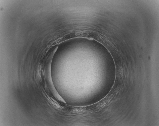 X0000067510914200604101252