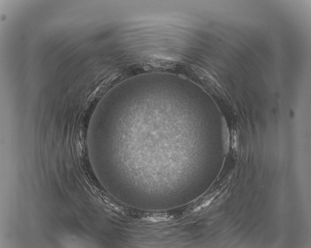 X0000067510915200604101252