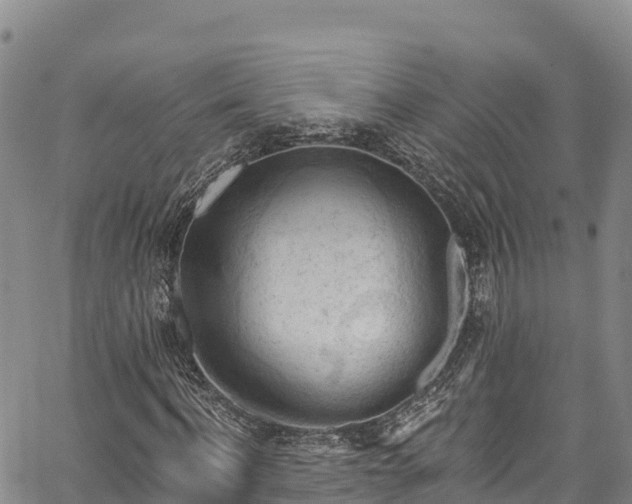 X0000067510916200604101252