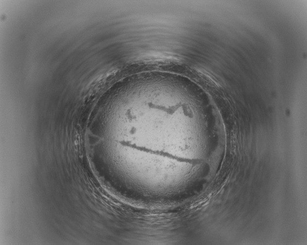 X0000067510917200604101252