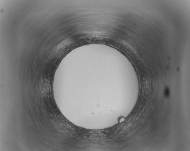 X0000067510918200604101252