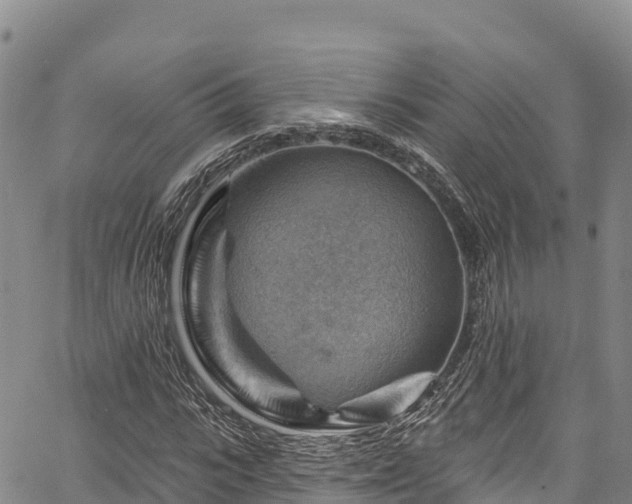 X0000067510919200604101252