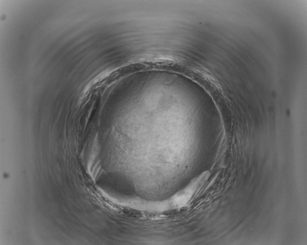 X0000067510920200604101252