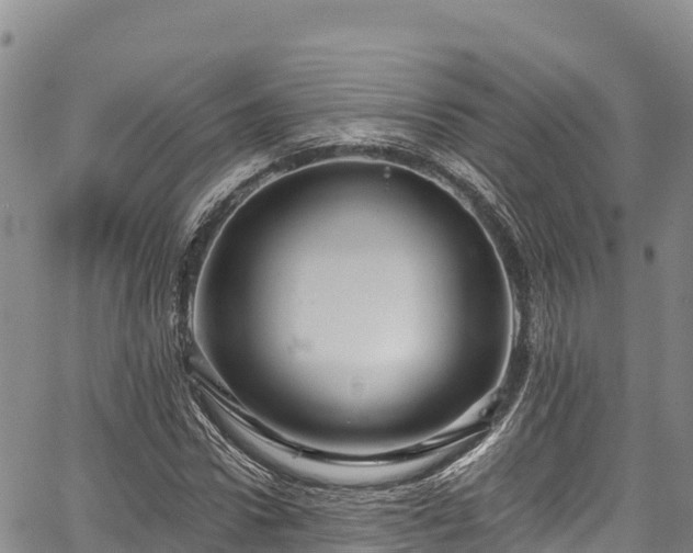 X0000067510922200604101252