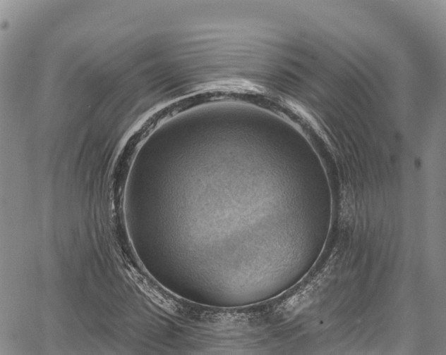 X0000067510923200604101252