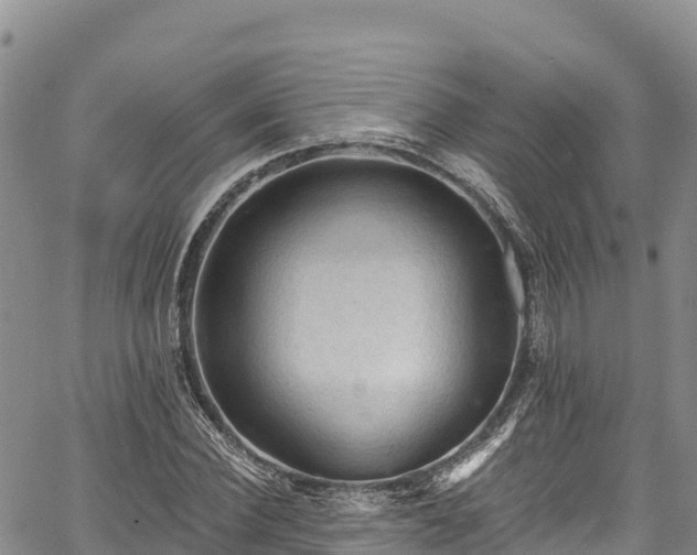 X0000067510924200604101252