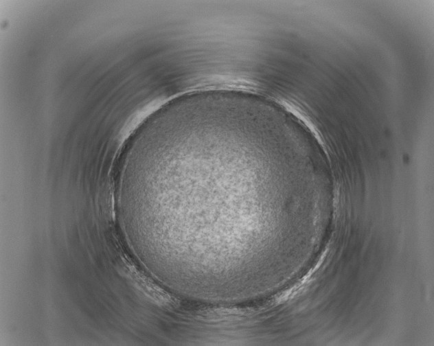 X0000067510925200604101252