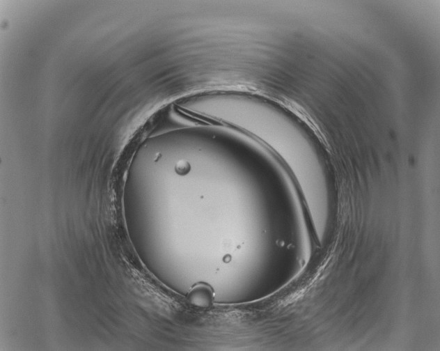 X0000067510926200604101252