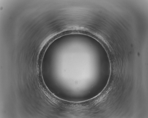 X0000067510927200604101252