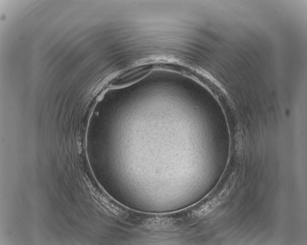 X0000067510929200604101252