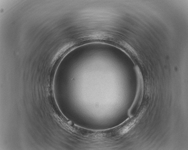 X0000067510930200604101252