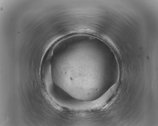 X0000067510932200604101252