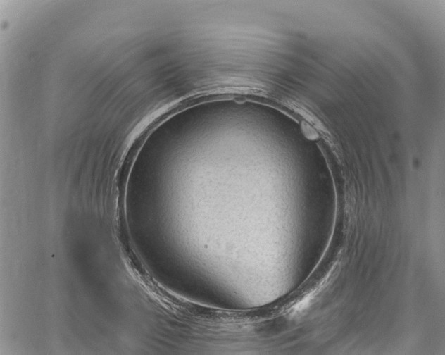 X0000067510933200604101252