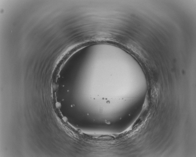 X0000067510934200604101252