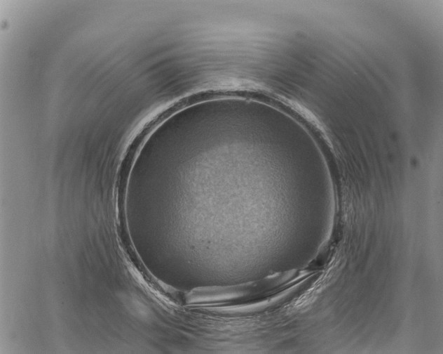 X0000067510935200604101252