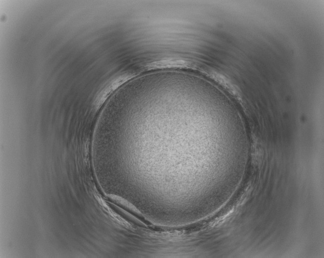 X0000067510937200604101252