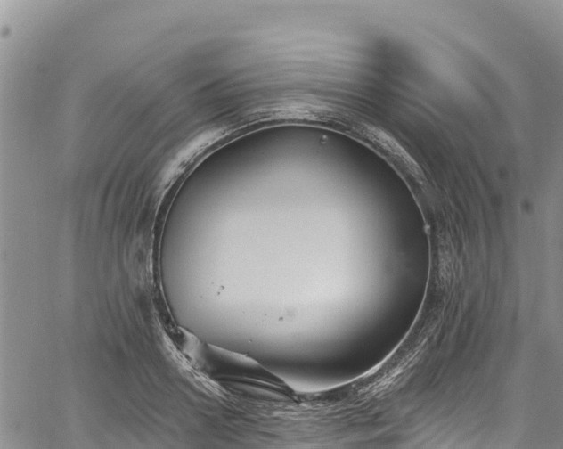 X0000067510938200604101252