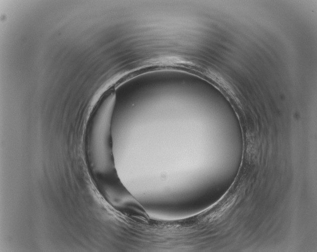 X0000067510939200604101252