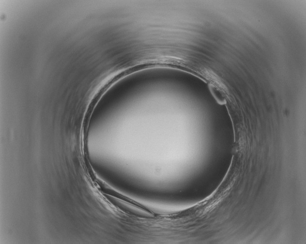 X0000067510940200604101252