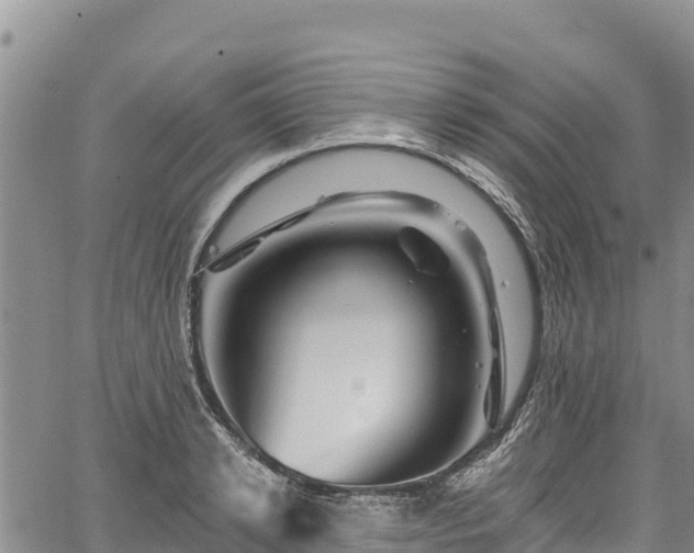 X0000067510942200604101252