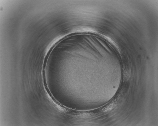 X0000067510943200604101252