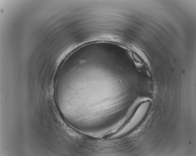 X0000067510944200604101252