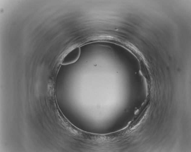 X0000067510945200604101252