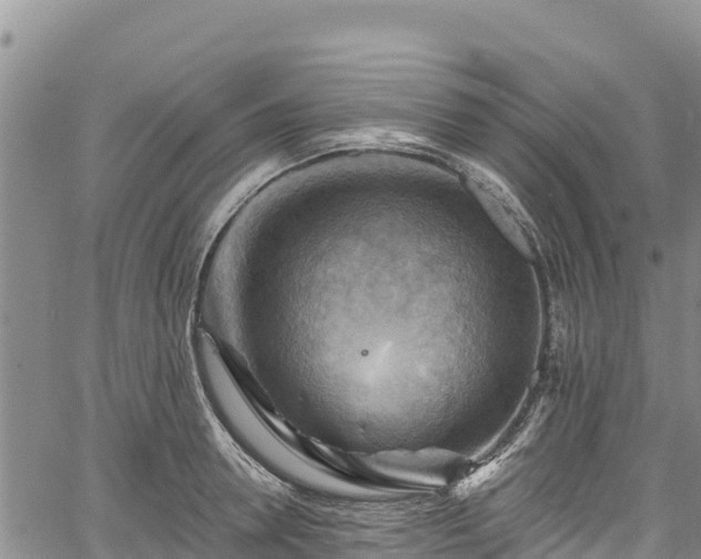 X0000067510946200604101252