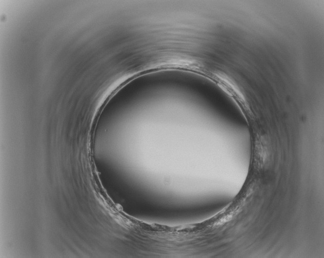 X0000067510948200604101252