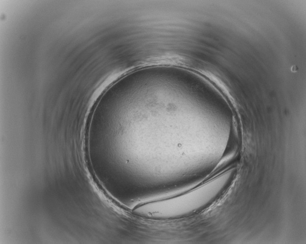 X0000067510949200604101252