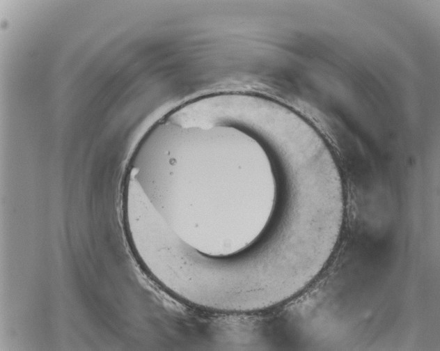 X0000067510950200604101252