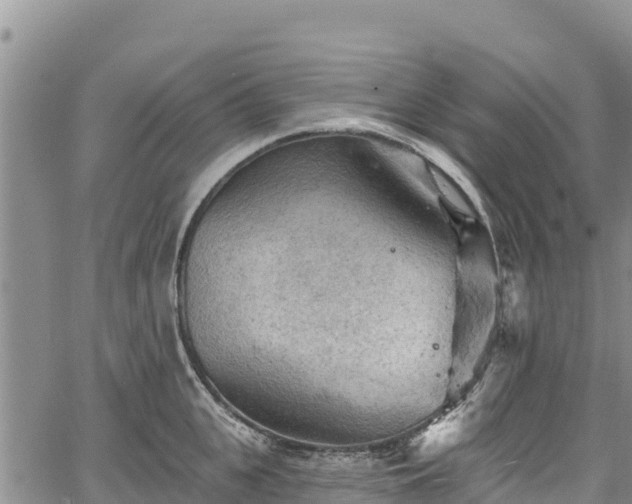 X0000067510951200604101252