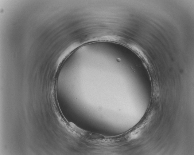 X0000067510952200604101252